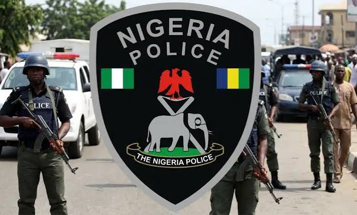 Control Of Roaming Cows in Abuja Not Police Responsibility – Spokesperson